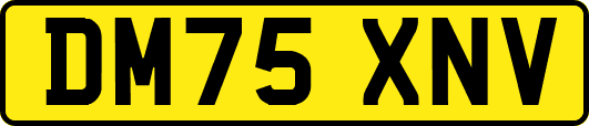DM75XNV
