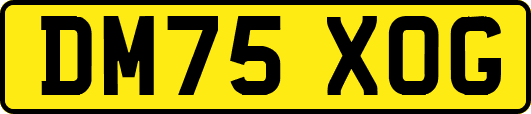DM75XOG