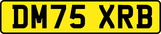 DM75XRB