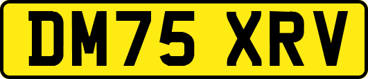 DM75XRV