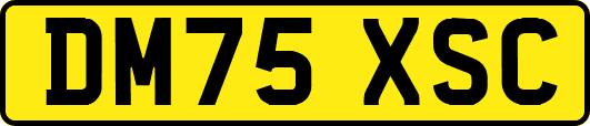 DM75XSC