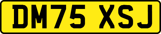DM75XSJ
