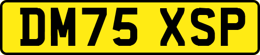 DM75XSP