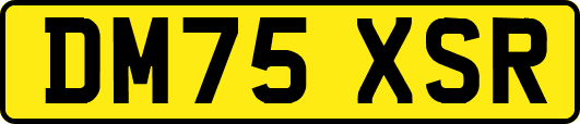 DM75XSR