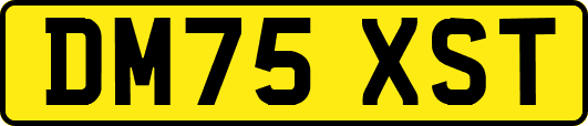 DM75XST