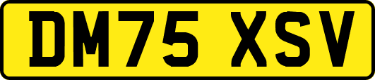 DM75XSV