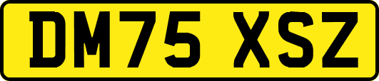 DM75XSZ