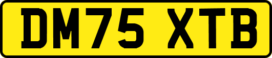 DM75XTB