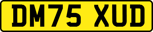 DM75XUD