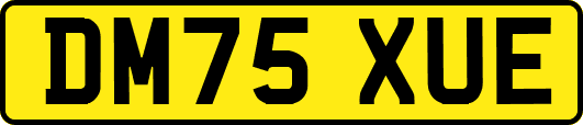 DM75XUE