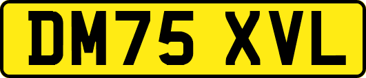 DM75XVL