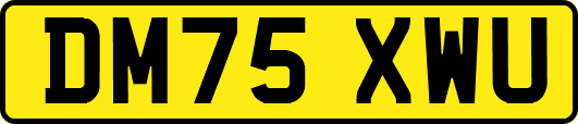DM75XWU