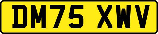 DM75XWV