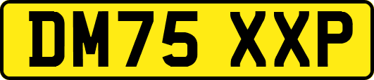 DM75XXP
