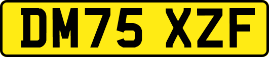 DM75XZF