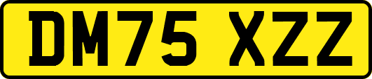 DM75XZZ