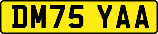 DM75YAA