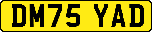 DM75YAD