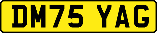 DM75YAG