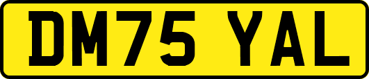 DM75YAL