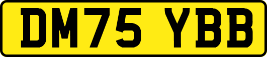 DM75YBB