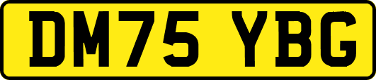 DM75YBG