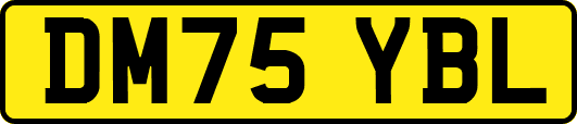 DM75YBL