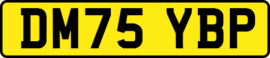 DM75YBP