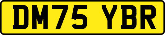 DM75YBR