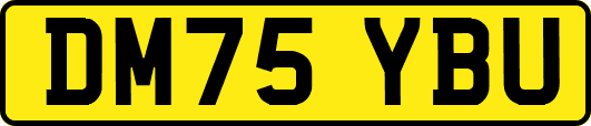 DM75YBU