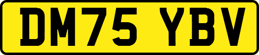 DM75YBV