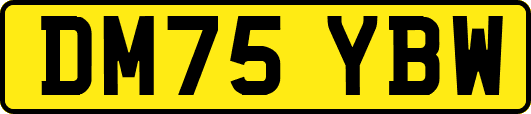 DM75YBW