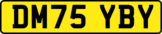 DM75YBY