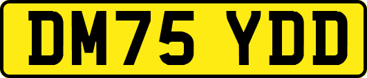 DM75YDD