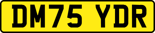 DM75YDR