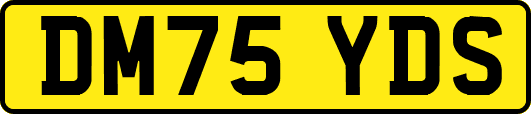 DM75YDS