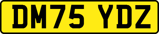 DM75YDZ