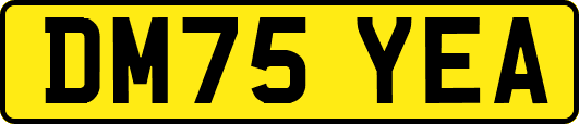DM75YEA