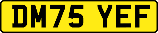 DM75YEF