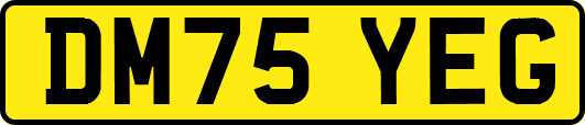 DM75YEG