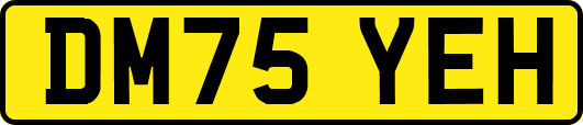 DM75YEH
