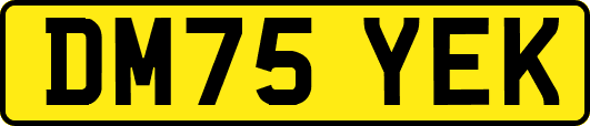 DM75YEK