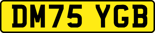 DM75YGB