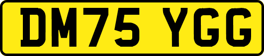 DM75YGG