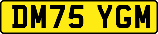 DM75YGM