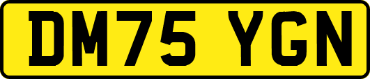 DM75YGN