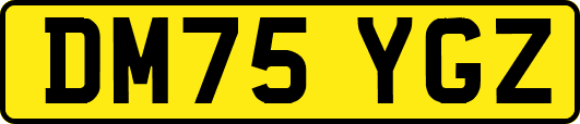 DM75YGZ