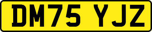 DM75YJZ