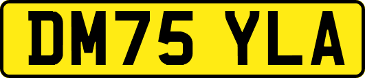 DM75YLA
