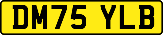 DM75YLB